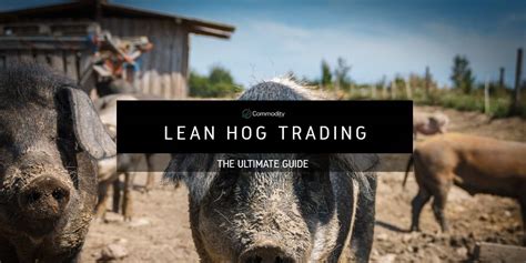 Lean Hog Investment: Why Betting on Pork Could be a Wise Move ...