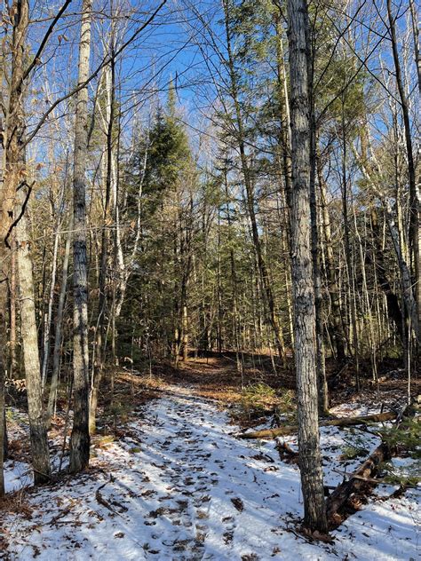 Hike This: Logan Creek Trails - Door County Pulse