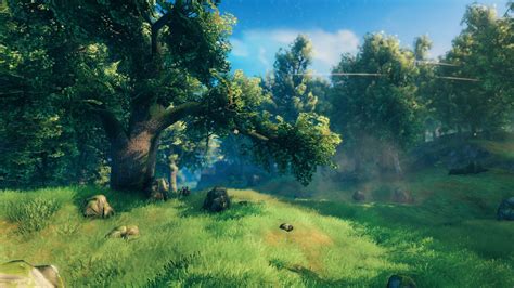 How to plant Valheim seeds | PC Gamer