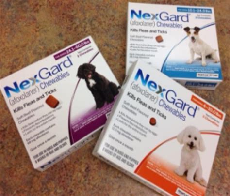 Flea and Tick Prevention, an Update | St. Michaels Companion Animal ...