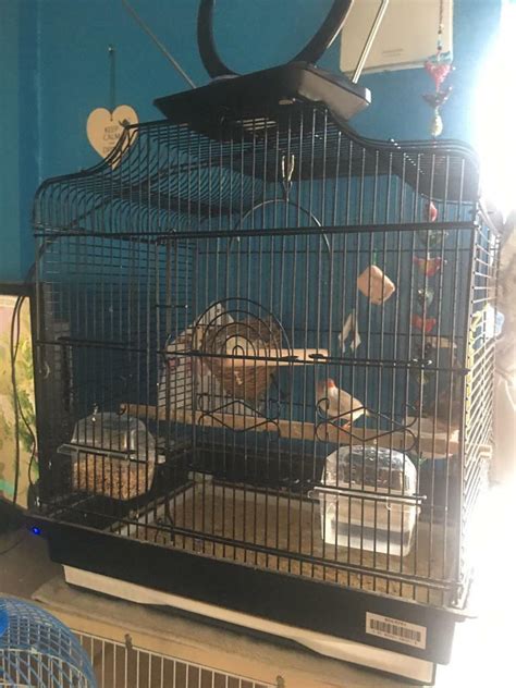 Zebra finch cage | in Newcastle, Tyne and Wear | Gumtree