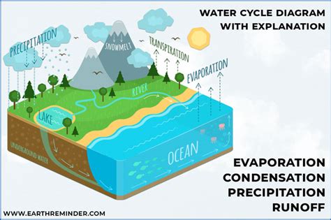 Sublimation Diagram Water Cycle