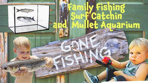 Family Fishing, Fort Clinch Surf Fishing and Mullet Aquarium #fishing # ...