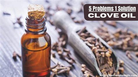 5 Problems 1 Solution - Clove Oil | Buy best quality - Kanha Nature Oils