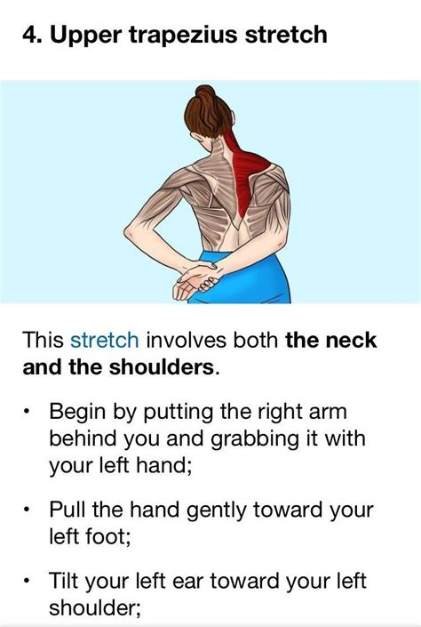 Pin on fitness & health | Neck exercises, Stretching exercises, Neck ...