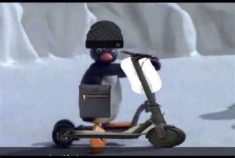 Roadman penguin : r/funny