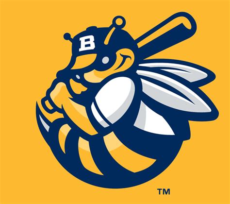 Burlington Bees Cap Logo (2007) - A yellow and blue bee holding a ...