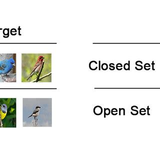 Comparison between closed set and open set recognition. (a) Problem ...