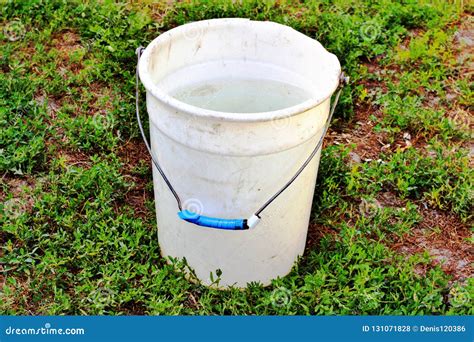 Bucket of water stock photo. Image of water, drinking - 131071828