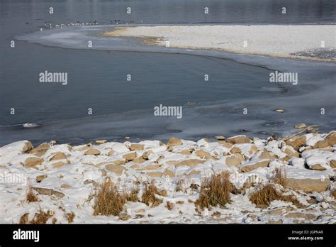 Winter at the lake Constance Stock Photo - Alamy