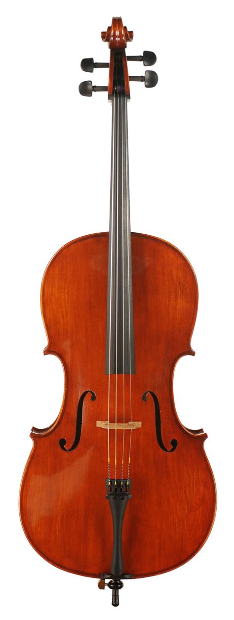 Andreas Eastman Model 305 7/8ths Size Cello | J.R. Judd Violins