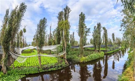 Mexico City cleans up 'floating gardens' dating back to Aztec times ...