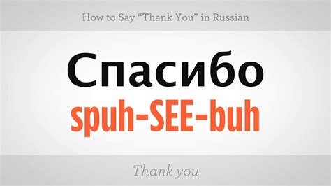 Russian lessons thank you | XXX Porn Library