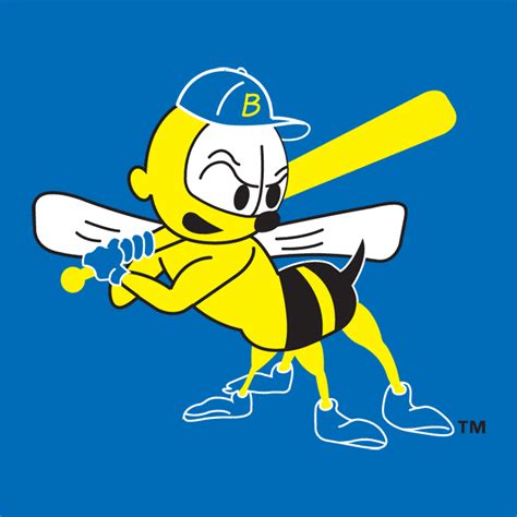 Burlington Bees Cap Logo - Midwest League (MWL) - Chris Creamer's ...