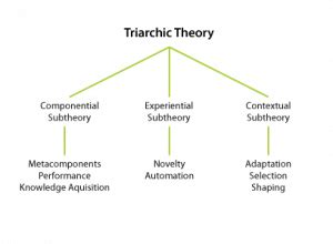 Triarchic Theory (Robert Sternberg) - InstructionalDesign.org