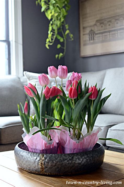 Beautiful Tulip Arrangements from Store Flowers - Town & Country Living