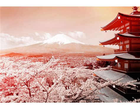 Fuji Cherry Blossoms by britmodtokyo on DeviantArt