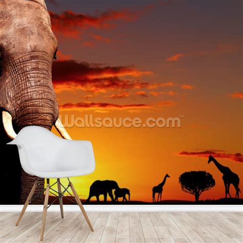 African Safari Wallpaper Mural | Wallsauce NO