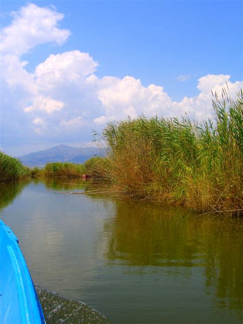 Wetlands and Global Climate Change - TZORTZIOU BIO-OPTICS LAB