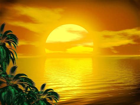 Detail for -Golden Sunset in Gold with Reflections on the Ocean - Cute ...