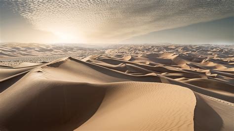 Sand dunes in a desert at sunset, Empty Quarter or Rub' al Khali ...