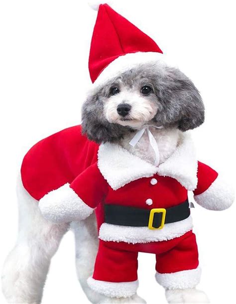 Holiday Pet Costumes on Amazon | POPSUGAR Pets