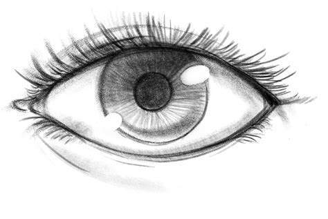 How To Draw An Eye Step By Step