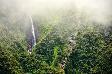 A Bolivian 'Cloud Forest' Reveals a Bonanza of New Species | WIRED