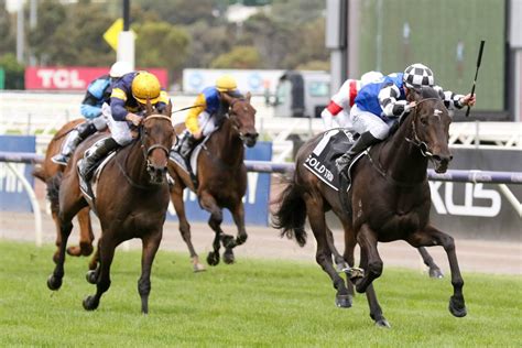 Melbourne Cup Field 2023 Confirmed: Vauban Firm Favourite - races.com.au