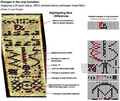 The Chilbolton 'Arecibo message' Formation - Crop 'Circles' Hidden ...