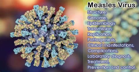 Rubeola Virus Structure