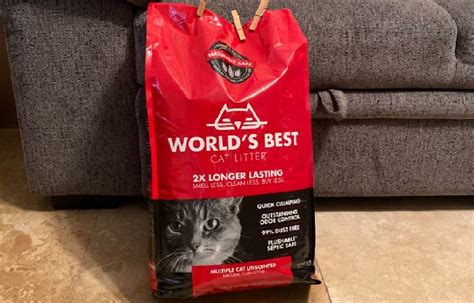 Best Dust-Free Cat Litter (Our 7 Top Picks) - WAF