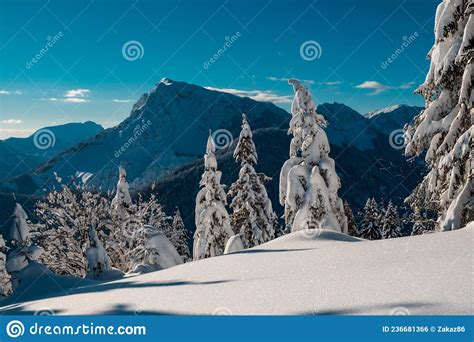 Ski Mountaineering in the Carnic Alps, Friuli-Venezia Giulia, Italy ...