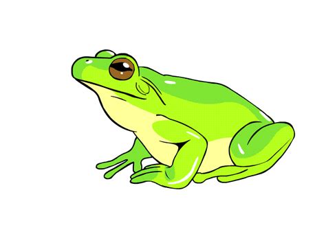 List Of Animated Gif Frog Jumping 2022