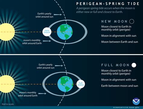 What is a perigean spring tide?