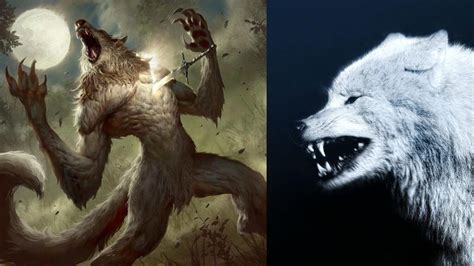 What Is The Difference Between Lycan And Werewolf?