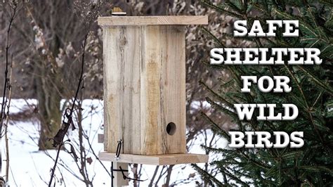 Winter Roost or Shelter For Wild Birds, How to Make Your Own. Chickadee ...