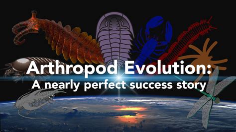 Arthropod Evolution: A nearly perfect success story - YouTube