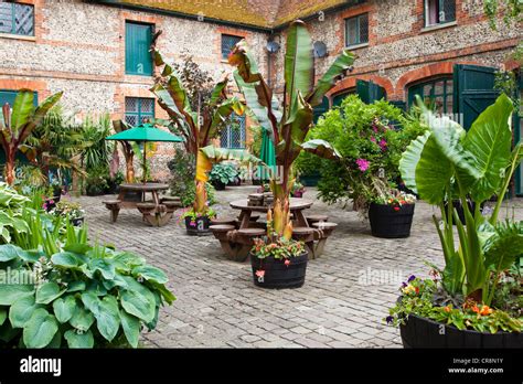 Pot plant courtyard hi-res stock photography and images - Alamy