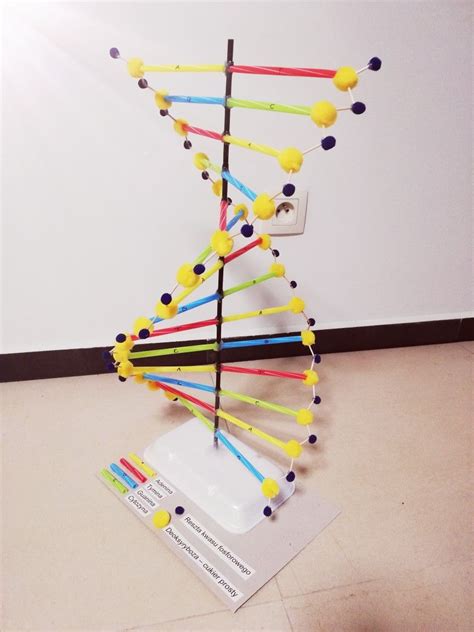 DNA 3D Model | Idee creative, Idee, Creatività