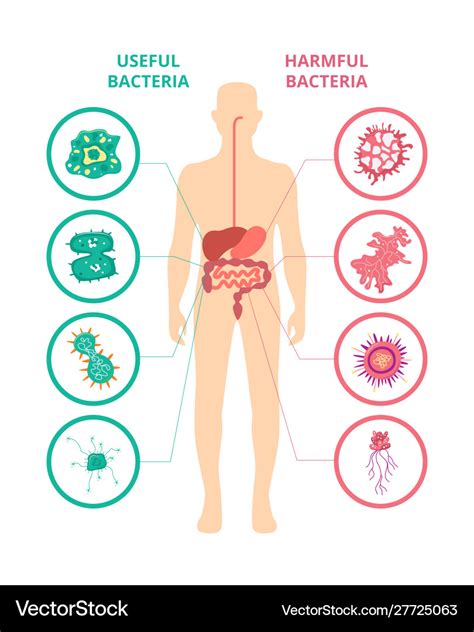 Harmful Microorganisms With Names