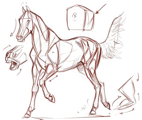 Horse Drawing Reference and Sketches for Artists