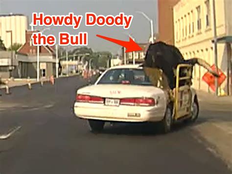 A huge bull named Howdy Doody rode shotgun in his owner's car on a ...