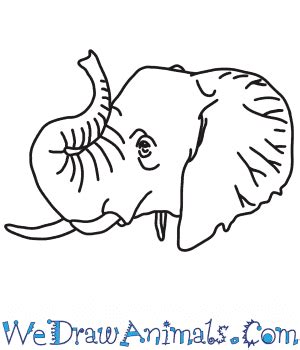 How To Draw A Cartoon Elephant Head