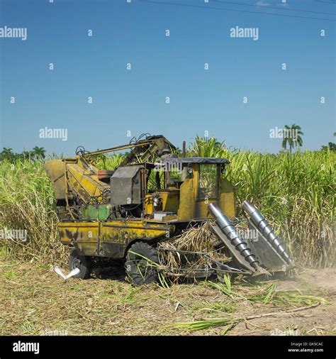 Sugar Cane Harvester Stock Photos & Sugar Cane Harvester Stock Images ...