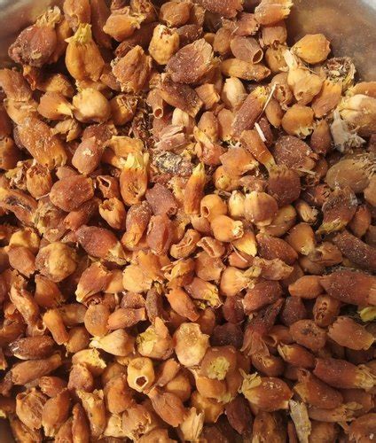 Dried Mahua Flower, Purity : 100%, Feature : Fine Quality, Hygienically ...