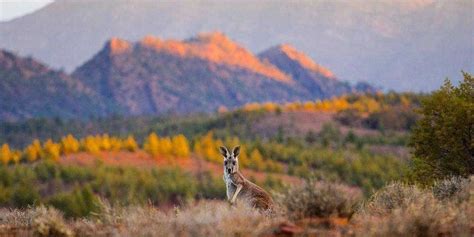 An Introduction to the National Parks of South Australia - Visit Australia