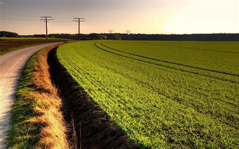 Fondos de pantalla : luz de sol, paisaje, comida, colina, naturaleza ...