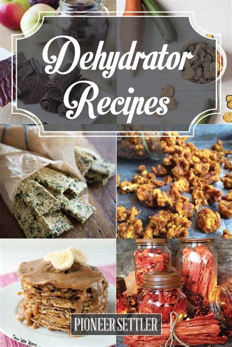 Dehydrator Recipes | Dehydrator recipes, Healthy snacks recipes, Recipes