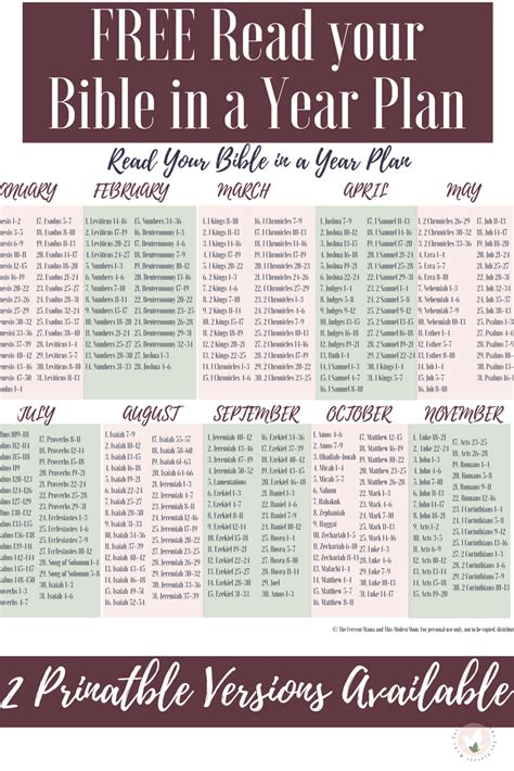 Daily Bible Reading Plan, Scripture Writing Plans, Bible Study Plans ...